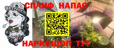 ECSTASY Камышлов