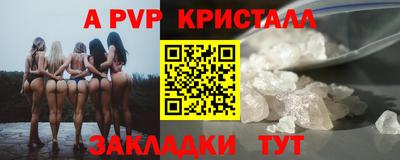 ECSTASY Камышлов