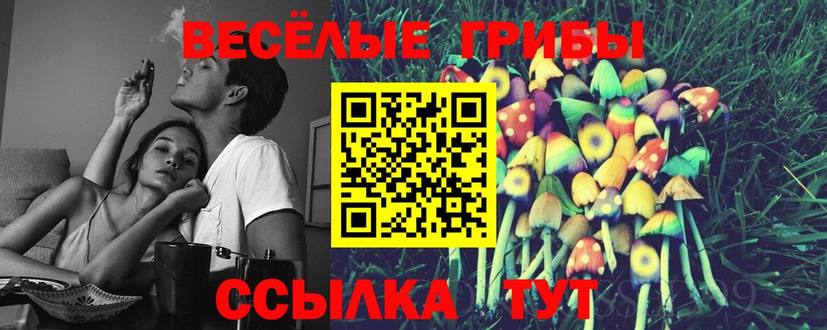 Псилоцибиновые грибы прущие грибы  Вход с VPN  продажа наркотиков  Карабулак 